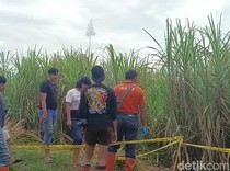 Polisi Cari Bukti Pendukung Dugaan Pembunuhan Santi di Lahan Tebu