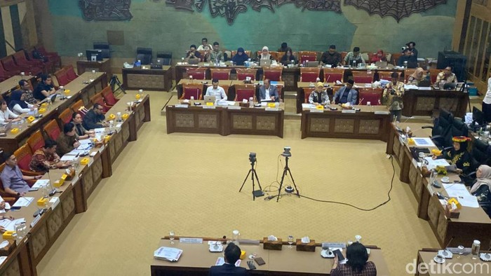 Rapat Komisi X DPR RI, gedung DPR, Jakarta Pusat, Senin (26/5/2025). (Adrial/detikcom)