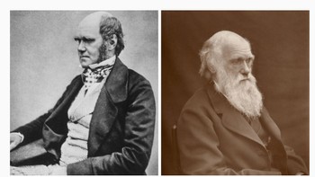 Charles Darwin. Dia mengembangkan teori evolusi melalui seleksi alam dan mengubah cara kita memahami kehidupan di Bumi. Foto: via Bored Panda  