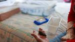 Unik, Ada Klinik Rawat Burung di Apartemen Kota Meksiko