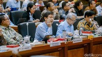 “Kalau nggak gatal, jangan digaruk Pak. Saya paham betul Bapak harusnya ngomong seperti itu jangan di publik,” ucap Irma dalam rapat kerja Komisi IX DPR RI. Foto: Grandyos Zafna Manase Mesah/detikHealth
