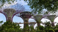 Ada juga beberapa adegan yang berlatar di Gardens by the Bay, khususnya Cloud Forest. Bagi traveler yang baru pertama kali berkunjung, perlu diketahui, meskipun masuk ke area Gardens by the Bay yang lebih luas gratis, untuk masuk ke Cloud Forest kamu tetap harus bayar. Biayanya sekitar Rp 150 ribuan. Getty Images/Eric Lafforgue
