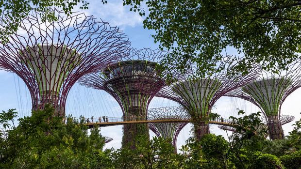 SINGAPORE, SINGAPORE - MAY 11: Supertrees at  Gardens by the Bay, Central Region, Singapore, Singapore on May 11, 2024 in Singapore, Singapore. (Photo by Eric Lafforgue/Art in All of Us/Corbis via Getty Images)