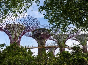 Turis China Sebut Liburan di Singapura Mahal, Makan Sekali Sehari