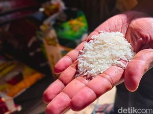 Simak! Cara Membedakan Beras Oplosan dengan Premium Murni