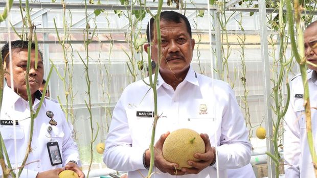 Dirjen Pas Brigjen Mashudi saat panen melon di Lapas Sukamiskin Kota Bandung.