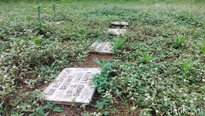 Makam hewan ilegal di Malang