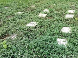 Kesaksian Warga soal Makam Hewan Ilegal Diduga Dikelola Dosen UB