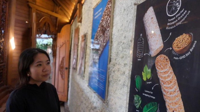 Menelusuri Jejak Tempe di Museum Edukasi Ubud Seorang mahasiswa mengamati gambar mengenai tempe berbahan kedelai saat mengunjungi museum tempe di Tempego Experience, Ubud, Gianyar, Bali, Selasa (27/5/2025). Museum tempe yang dibuka pada Januari 2025 tersebut banyak dikunjungi mahasiswa dan wisatawan sebagai pusat edukasi mengenai sejarah, manfaat, dan cara pembuatan tempe secara higienis serta menampilkan sampel berbagai jenis tumbuhan dan biji-bijian yang bisa dijadikan bahan baku dalam membuat tempe atau makanan tradisional khas Indonesia itu. ANTARA FOTO/Nyoman Hendra Wibowo/bar