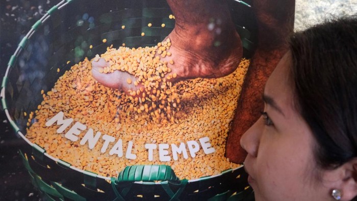 Seorang mahasiswa mengamati gambar mengenai tempe berbahan kedelai saat mengunjungi museum tempe di Tempego Experience, Ubud, Gianyar, Bali, Selasa (27/5/2025). Museum tempe yang dibuka pada Januari 2025 tersebut banyak dikunjungi mahasiswa dan wisatawan sebagai pusat edukasi mengenai sejarah, manfaat, dan cara pembuatan tempe secara higienis serta menampilkan sampel berbagai jenis tumbuhan dan biji-bijian yang bisa dijadikan bahan baku dalam membuat tempe atau makanan tradisional khas Indonesia itu. ANTARA FOTO/Nyoman Hendra Wibowo/bar