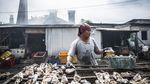 Mengintip Produksi Ikan Asap di Bandarharjo Semarang