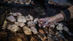 Mengintip Produksi Ikan Asap di Bandarharjo Semarang