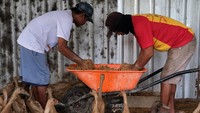 Model peternakan ini diharapkan dapat menjadi inspirasi bagi masyarakat lainnya untuk mengembangkan usaha serupa. (ANTARA FOTO/Jessica Wuysang)
