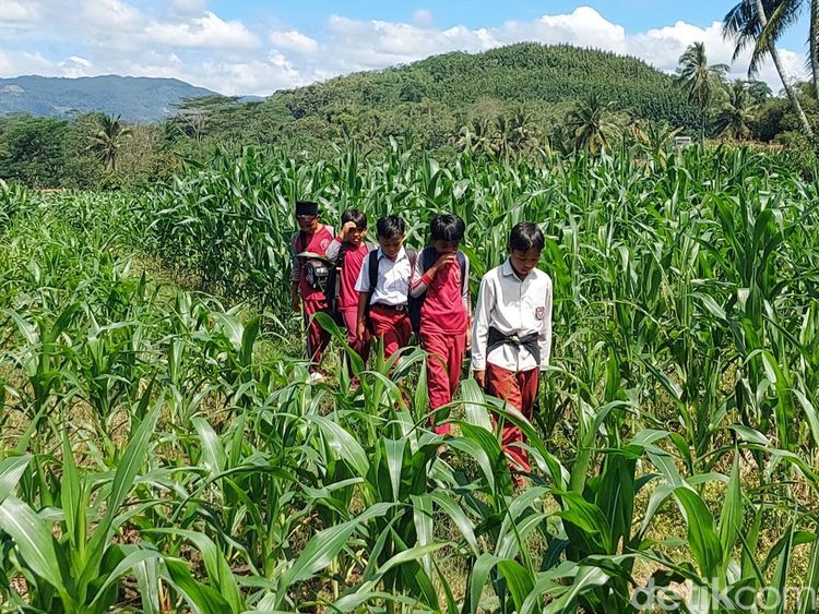 Bertaruh Nyawa Ala Siswa SD di KBB demi Mengejar Ilmu