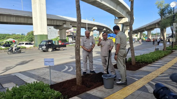 Pramono Anung tanam pohon di sepanjang jalan Cakung
