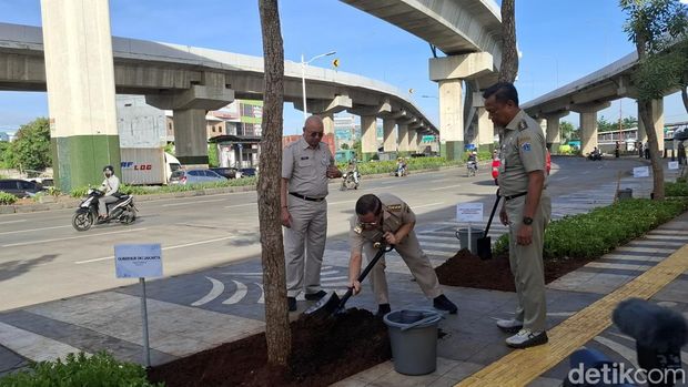 Pramono ukut nyangkul saat tanam pohon di kolong Tol Cakung. (Brigitta/detikcom)