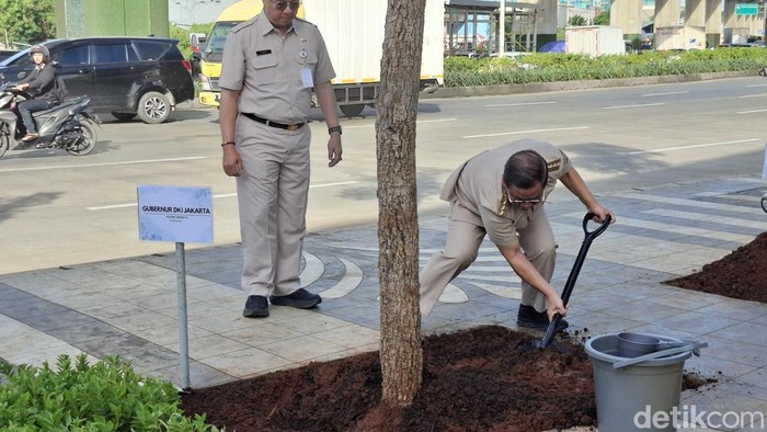 Pramono ukut nyangkul saat tanam pohon di kolong Tol Cakung. (Brigitta/detikcom)