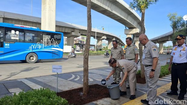 Pramono ukut nyangkul saat tanam pohon di kolong Tol Cakung. (Brigitta/detikcom)