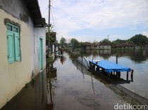 120 Ha Tambak di Tunggulsari Pati Terdampak Rob, Petambak Rugi Miliaran