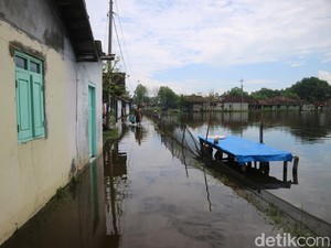 120 Ha Tambak di Tunggulsari Pati Terdampak Rob, Petambak Rugi Miliaran
