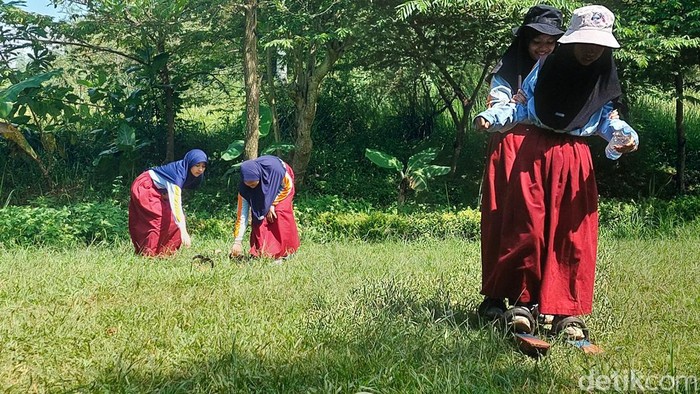 Aktivitas siswa SD bermain dan belajar di Kube Eduwisata Padalarang
