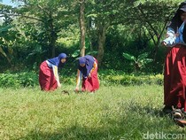 Momen Tak Terlupakan Shaffa Mengenal Tanaman-Permainan Tradisional