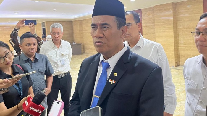 Genjot Hilirisasi, Ekspor Kelapa Ditargetkan Naik 3 Kali Lipat