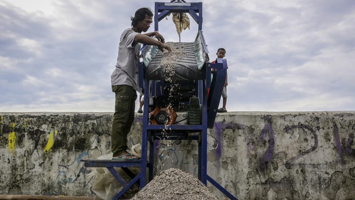 Intip Limbah Kerang Hijau Disulap Jadi Paving Block Pekerja membuat paving block berbahan cangkang kerang hijau di Rumah Produksi Kelompok Kerajinan Cangkang Kering (Cangkring), Cilincing, Jakarta Utara, Senin (26/5/2025). Kelompok Kerajinan Cangkring mendaur ulang limbah cangkang kerang hijau menjadi material bangunan seperti paving block, kloset, hiasan dinding hingga kerajinan tangan bernilai jual sebagai upaya mengatasi permasalahan limbah dan meningkatkan perekonomian masyarakat di kawasan sentra kerang hijau tersebut. ANTARA FOTO/Sulthony Hasanuddin/Spt.