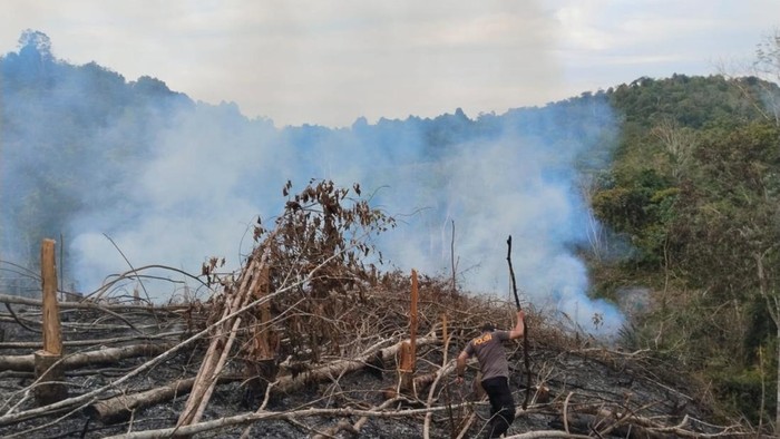 Kondisi lahan saat terbakar. (Dok Polres Kuansing)