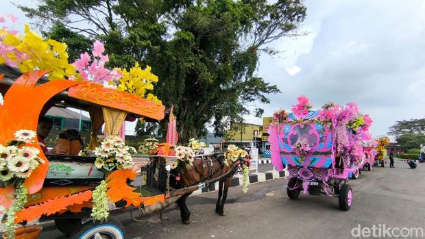 Kuda delman hias di Kuningan