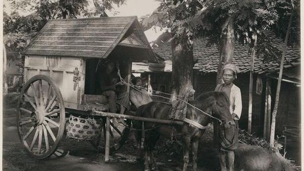 Kuda Kuningan di masa lalu