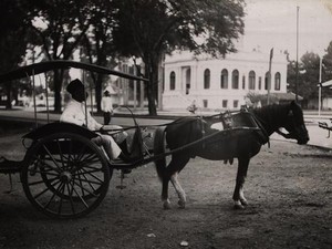 Jejak Kuda Kuningan dan Sejarah Panjang di Masa Hindia Belanda