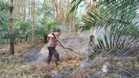 Polisi yang mengetahui adanya pembakaran hutan langsung menuju ke lokasi. Polisi dan instansi terkait berjibaku memadamkan api. (Foto: dok. Polres Kuansing)