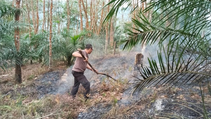 Lahan seluas 2 Ha di area Hutan Lindung Bukit Batuah, Kuansing, Riau, rusak akibat pembakaran, pada Senin (25/5/2025) Lahan seluas 2 Ha di area Hutan Lindung Bukit Batuah, Kuansing, Riau, rusak akibat pembakaran, pada Senin (25/5/2025).