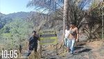 Potret 2 Ha Lahan Hutan Lindung di Riau Rusak Akibat Dibakar