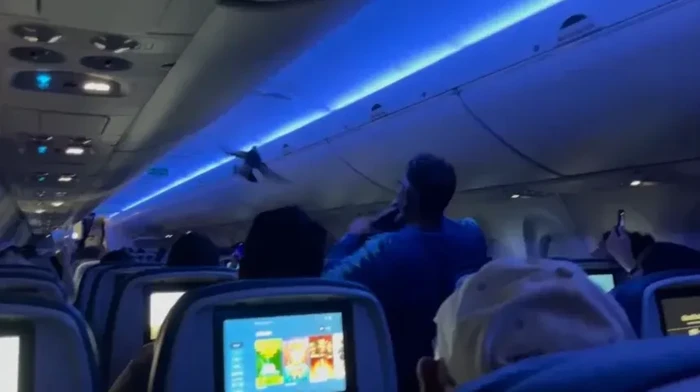 Penerbangan dari Minneapolis ke Madison, Wisconsin ditunda pada hari Sabtu setelah dua burung mencoba menyelinap ke dalam pesawat.