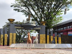 Kisah Kuda Si Windu dan Sejarah Perkembangan Delman di Kuningan