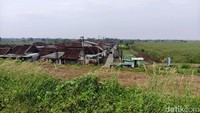 Hampir dua dekade sejak semburan lumpur Lapindo terjadi, warga di Desa Gempolsari, Kecamatan Tanggulangin, Kabupaten Sidoarjo, Jawa Timur, masih harus hidup dalam bayang-bayang bencana.