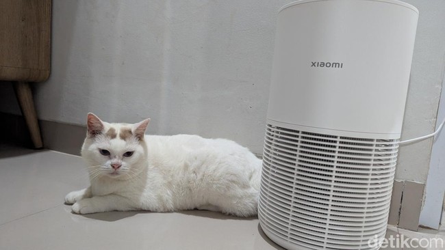 Review Xiaomi Smart Pet Care Air Purifier: Majikan Sehat, Anabul Tenang