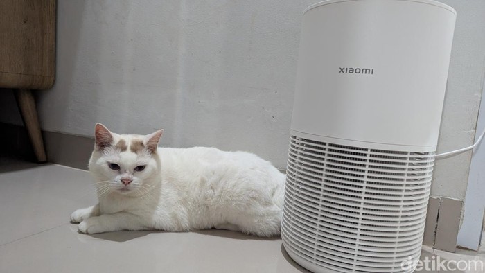 Xiaomi Smart Pet Care Air Purifier