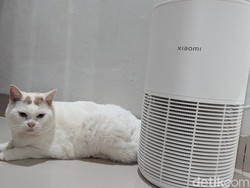 Review Xiaomi Smart Pet Care Air Purifier: Majikan Sehat, Anabul Tenang