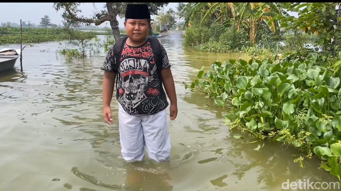 Banjir luapan Bengawan Jero di Lamongan