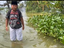 Luapan Anak Sungai Bengawan Solo Rendam Jalan dan Tambak di Lamongan
