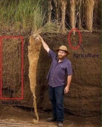 Deretan Foto Cerita Mencengangkan