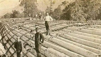 Bayangkan rakit kayu kolosal tahun 1902 di Sungai Columbia, Oregon! Terbuat dari batang-batang pohon raksasa diikat rantai, ini adalah keajaiban teknik industri kayu masa itu. Rakit ini mengangkut jutaan kaki kayu, bernilai $8.000—setara kerja setahun penuh! Foto bersejarah ini menangkap pemandangan menakjubkan dan bukti kecerdikan serta tenaga manusia yang luar biasa dalam mendorong industri Amerika, mengubah lanskap Pasifik Barat Laut dengan gelondongan kayu masif Foto: Boredpanda