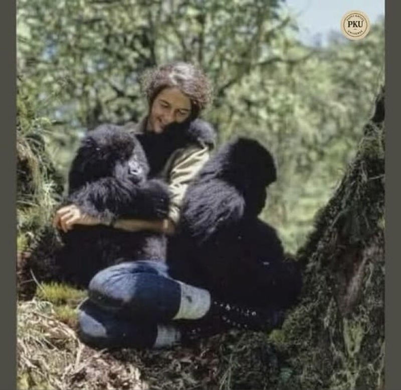 Deretan Foto Cerita Mencengangkan