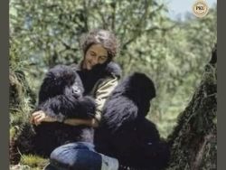 Deretan Foto Jadul yang Punya Fakta Mencengangkan