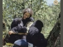 Deretan Foto Jadul yang Punya Fakta Mencengangkan