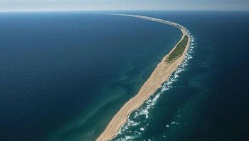 Bayangkan sebuah pulau pasir bulan sabit terpencil di Atlantik, Pulau Sable di Kanada! Dikenal sebagai pemakaman kapal karam karena sejarahnya yang berbahaya, kini pulau ini adalah surga bagi kuda-kuda liar yang jumlahnya melebihi manusia. Hewan-hewan tangguh ini, keturunan dari abad ke-18, berkeliaran bebas di tengah ekosistem unik yang juga menjadi rumah bagi beragam burung dan tumbuhan. Kini, Pulau Sable adalah cagar alam yang dilindungi dan situs penelitian lingkungan yang menakjubkan. Foto: Boredpanda