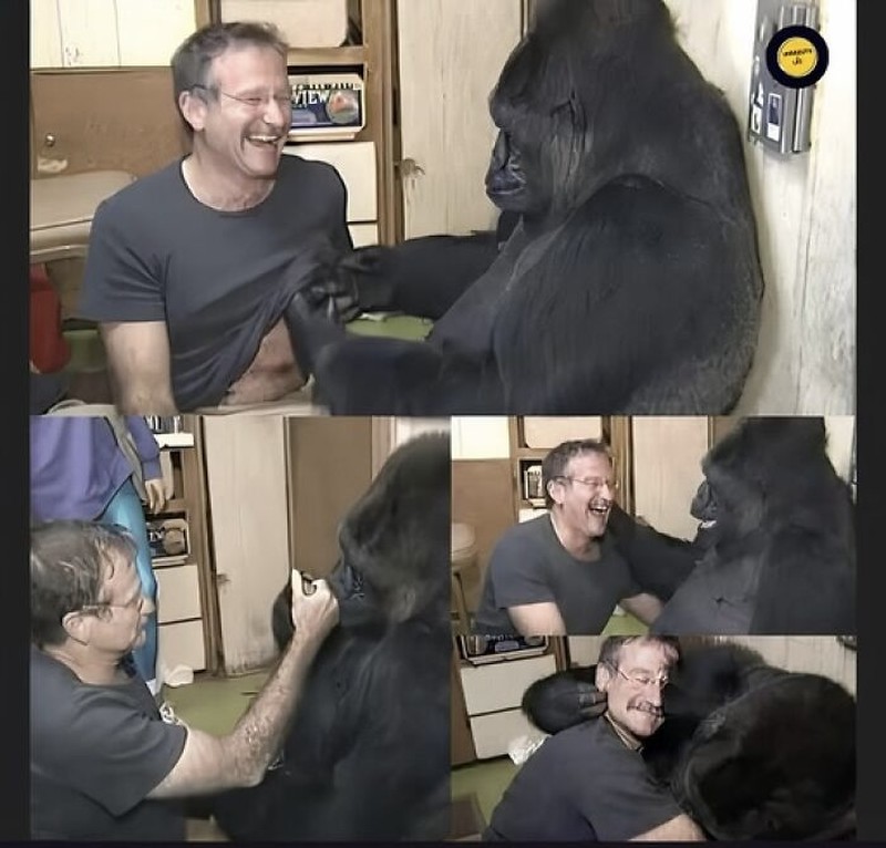 Deretan Foto Cerita Mencengangkan